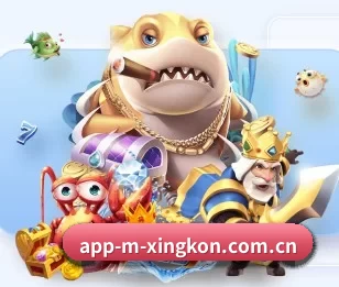 关于我们 - 体育资讯内容服务 | xingkong